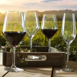 OGO Living Lot De 6 Flûtes 19cl 9 OGO Living Lot De 6 Flûtes 19cl -La Rochère Boutique lot de 6 flutes 19cl 2