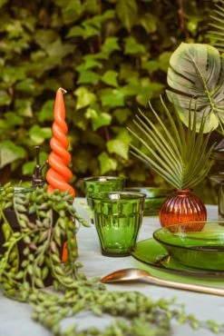 Duralex Lot De 6 - Verre à Eau 25 Cl En Verre Trempé Résistant Teinté Vert 13 Duralex Lot De 6 - Verre à Eau 25 Cl En Verre Trempé Résistant Teinté Vert -La Rochère Boutique lot de 6 verre a eau 25 cl en verre trempe resistant teinte vert 4