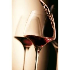 Chef & Sommelier Verre à Pied Tannic En Krysta Transparent 13 Chef & Sommelier Verre à Pied Tannic En Krysta Transparent -La Rochère Boutique verre a pied tannic en krysta transparent 5