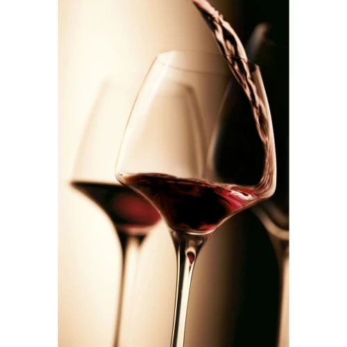 Chef & Sommelier Verre à Pied Tannic En Krysta Transparent 8 Chef & Sommelier Verre à Pied Tannic En Krysta Transparent – Image 6